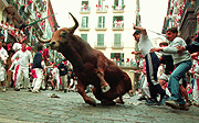 Pamplola Bull-running Fiesta（西班牙奔牛節）