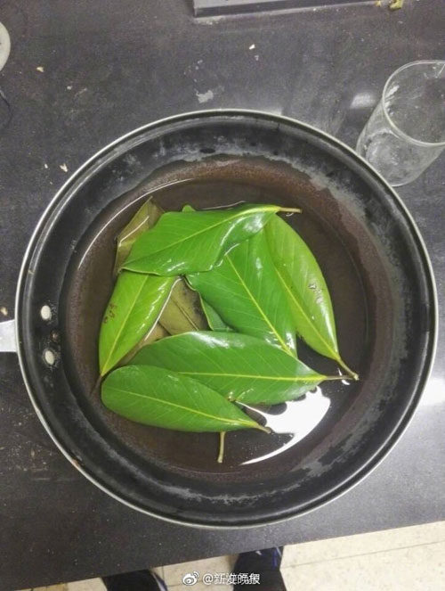 6000片树叶做出美裙 原来他们是这么做到的！